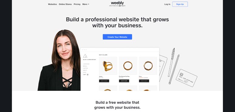 Image of the company homepage.